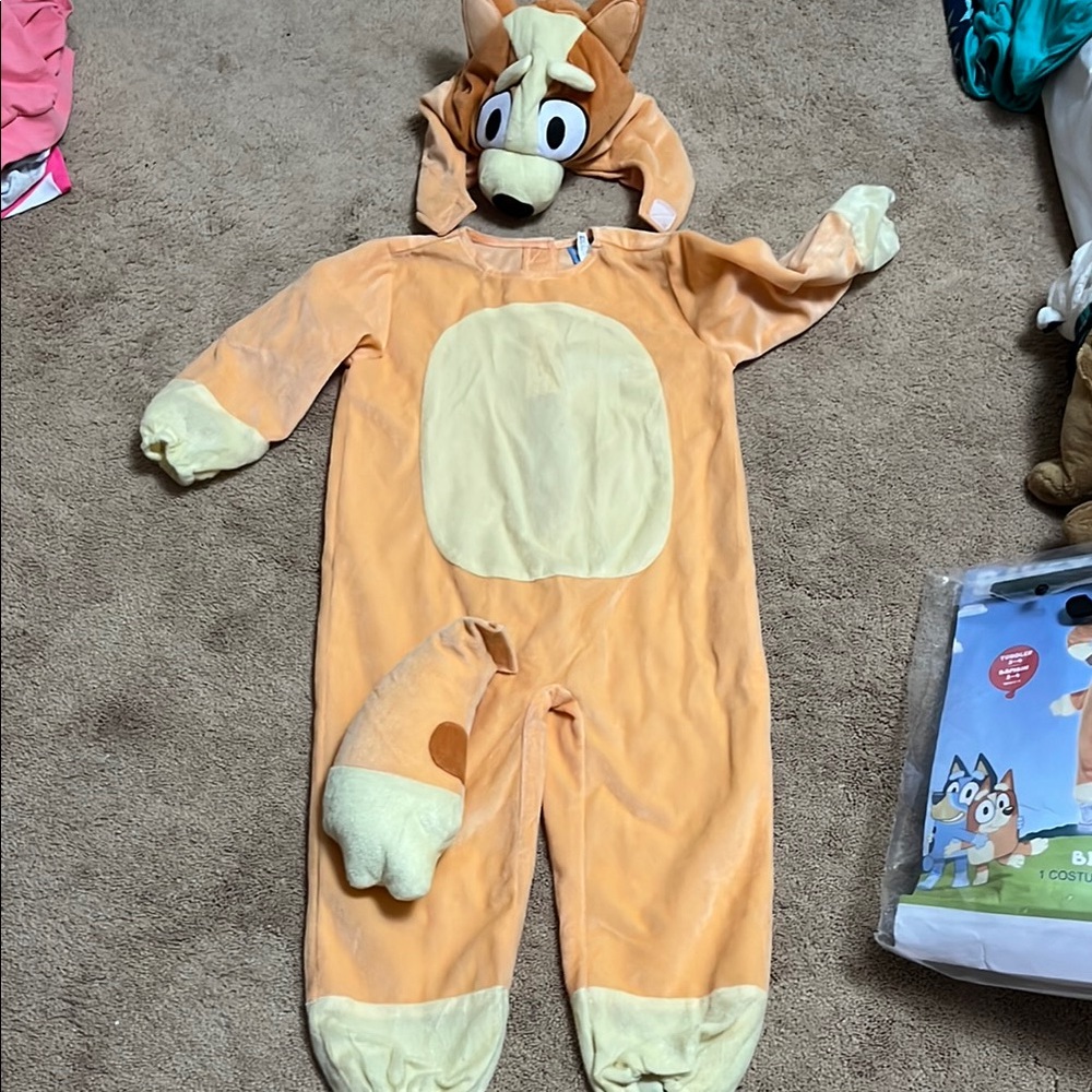 Bingo costume